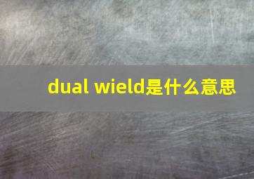 dual wield是什么意思